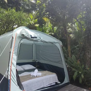 Camping A La Ferme, Gros-Morne